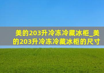 美的203升冷冻冷藏冰柜_美的203升冷冻冷藏冰柜的尺寸