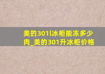 美的301l冰柜能冻多少肉_美的301升冰柜价格