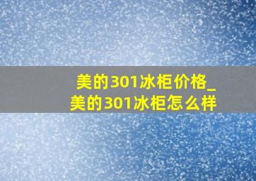 美的301冰柜价格_美的301冰柜怎么样