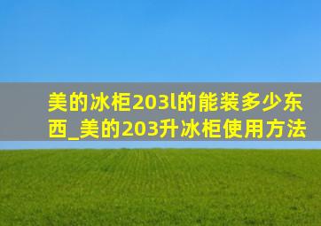 美的冰柜203l的能装多少东西_美的203升冰柜使用方法