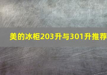 美的冰柜203升与301升推荐