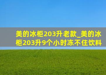 美的冰柜203升老款_美的冰柜203升9个小时冻不住饮料