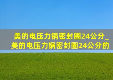 美的电压力锅密封圈24公分_美的电压力锅密封圈24公分的