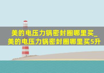 美的电压力锅密封圈哪里买_美的电压力锅密封圈哪里买5升