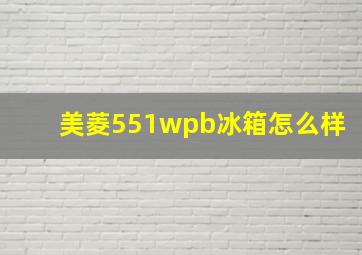 美菱551wpb冰箱怎么样