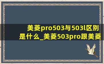 美菱pro503与503l区别是什么_美菱503pro跟美菱503l