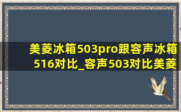 美菱冰箱503pro跟容声冰箱516对比_容声503对比美菱501哪个更值得购买