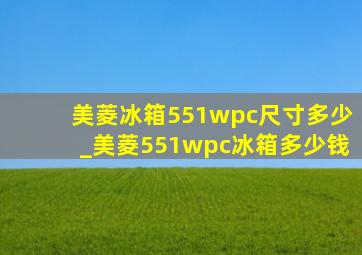 美菱冰箱551wpc尺寸多少_美菱551wpc冰箱多少钱