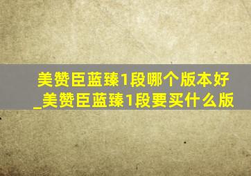 美赞臣蓝臻1段哪个版本好_美赞臣蓝臻1段要买什么版