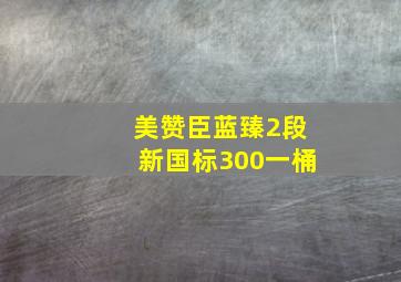 美赞臣蓝臻2段新国标300一桶