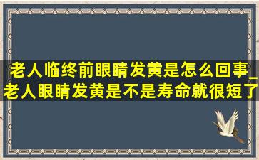 老人临终前眼睛发黄是怎么回事_老人眼睛发黄是不是寿命就很短了