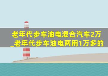 老年代步车油电混合汽车2万_老年代步车油电两用1万多的