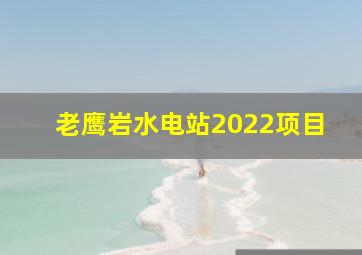 老鹰岩水电站2022项目