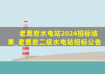 老鹰岩水电站2024招标结果_老鹰岩二级水电站招标公告