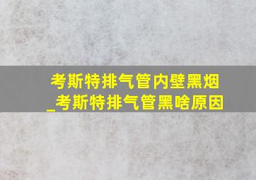 考斯特排气管内壁黑烟_考斯特排气管黑啥原因