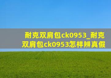 耐克双肩包ck0953_耐克双肩包ck0953怎样辨真假