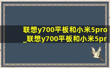 联想y700平板和小米5pro_联想y700平板和小米5pro对比