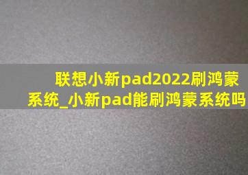 联想小新pad2022刷鸿蒙系统_小新pad能刷鸿蒙系统吗