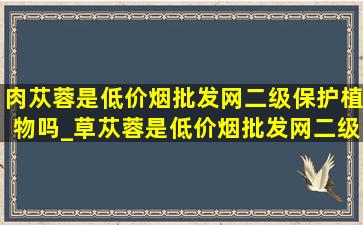 肉苁蓉是(低价烟批发网)二级保护植物吗_草苁蓉是(低价烟批发网)二级保护植物吗