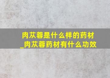 肉苁蓉是什么样的药材_肉苁蓉药材有什么功效