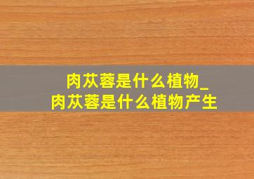 肉苁蓉是什么植物_肉苁蓉是什么植物产生