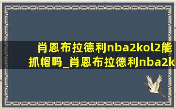 肖恩布拉德利nba2kol2能抓帽吗_肖恩布拉德利nba2kol2