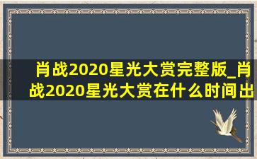 肖战2020星光大赏完整版_肖战2020星光大赏在什么时间出场