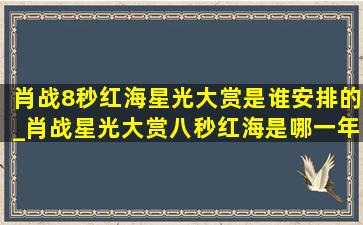 肖战8秒红海星光大赏是谁安排的_肖战星光大赏八秒红海是哪一年