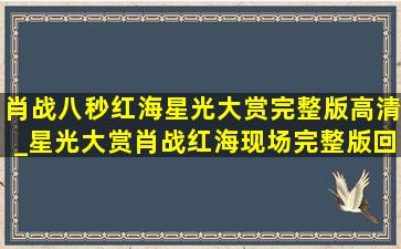 肖战八秒红海星光大赏完整版高清_星光大赏肖战红海现场完整版回放