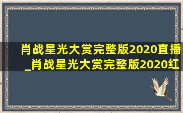 肖战星光大赏完整版2020直播_肖战星光大赏完整版2020红海