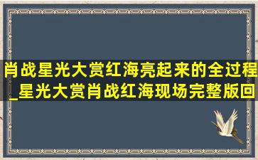 肖战星光大赏红海亮起来的全过程_星光大赏肖战红海现场完整版回放