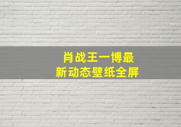 肖战王一博最新动态壁纸全屏