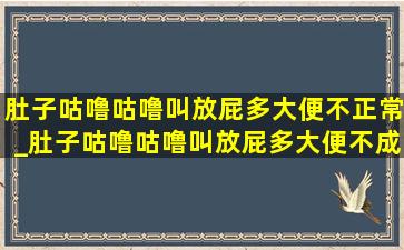 肚子咕噜咕噜叫放屁多大便不正常_肚子咕噜咕噜叫放屁多大便不成形