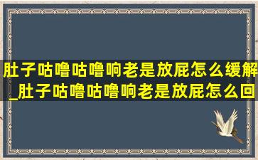 肚子咕噜咕噜响老是放屁怎么缓解_肚子咕噜咕噜响老是放屁怎么回事