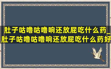 肚子咕噜咕噜响还放屁吃什么药_肚子咕噜咕噜响还放屁吃什么药好