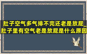 肚子空气多气排不完还老是放屁_肚子里有空气老是放屁是什么原因