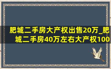 肥城二手房大产权出售20万_肥城二手房40万左右大产权100平