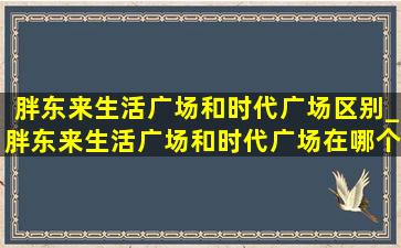 胖东来生活广场和时代广场区别_胖东来生活广场和时代广场在哪个区