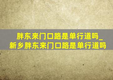 胖东来门口路是单行道吗_新乡胖东来门口路是单行道吗