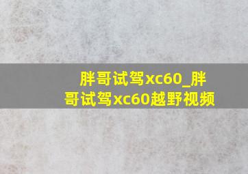 胖哥试驾xc60_胖哥试驾xc60越野视频