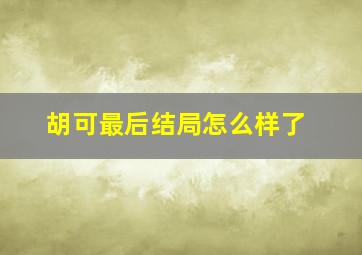 胡可最后结局怎么样了