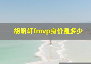 胡明轩fmvp身价是多少