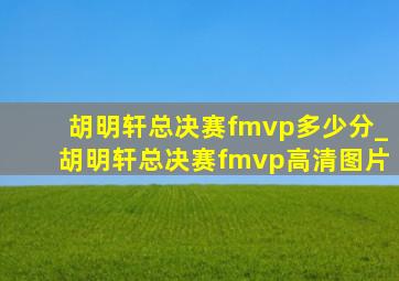 胡明轩总决赛fmvp多少分_胡明轩总决赛fmvp高清图片