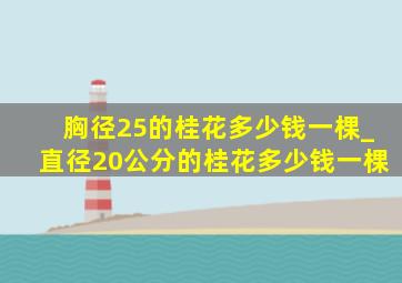 胸径25的桂花多少钱一棵_直径20公分的桂花多少钱一棵