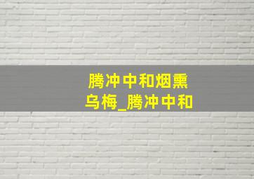 腾冲中和烟熏乌梅_腾冲中和