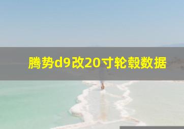 腾势d9改20寸轮毂数据