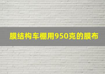 膜结构车棚用950克的膜布