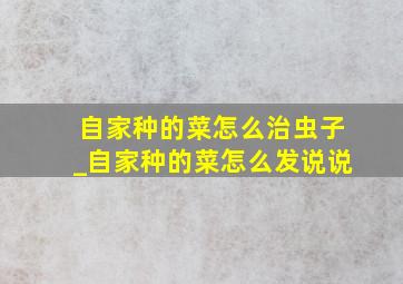 自家种的菜怎么治虫子_自家种的菜怎么发说说