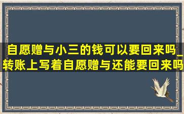 自愿赠与小三的钱可以要回来吗_转账上写着自愿赠与还能要回来吗