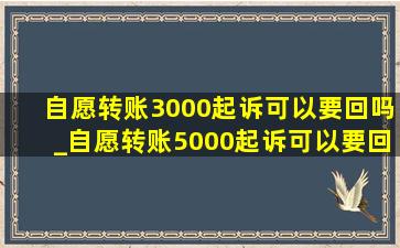 自愿转账3000起诉可以要回吗_自愿转账5000起诉可以要回吗